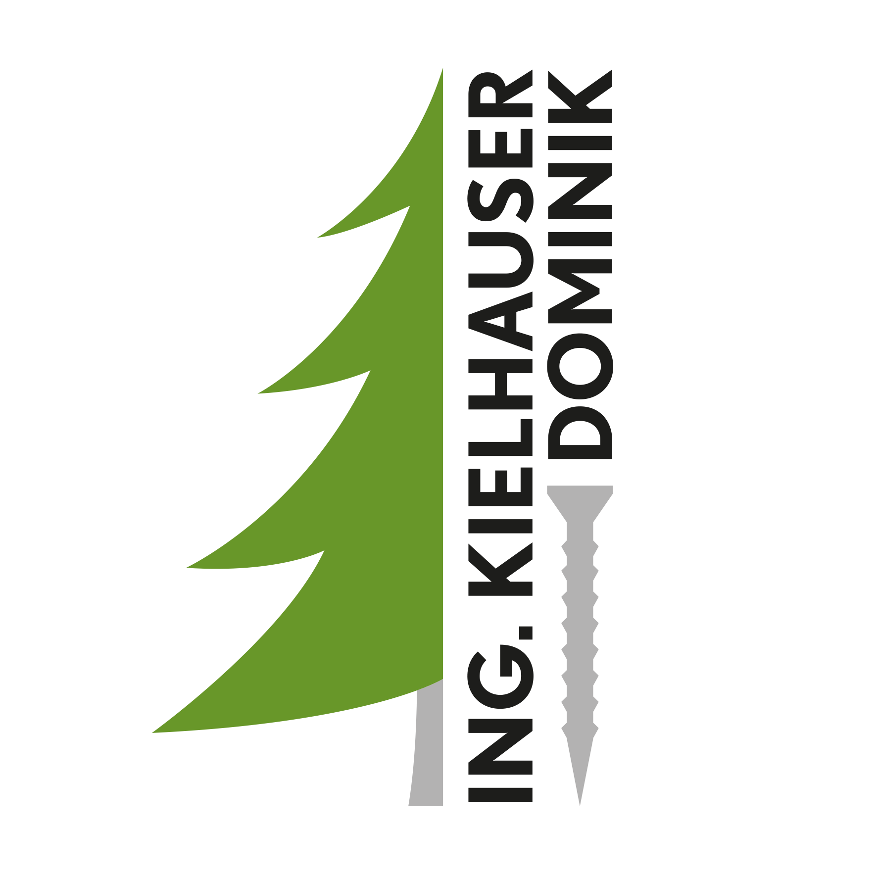 Ing. Kielhauser Dominik 31